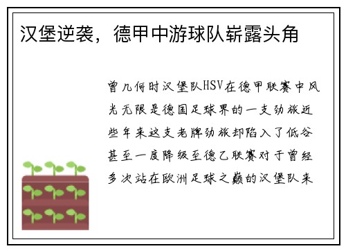 汉堡逆袭，德甲中游球队崭露头角